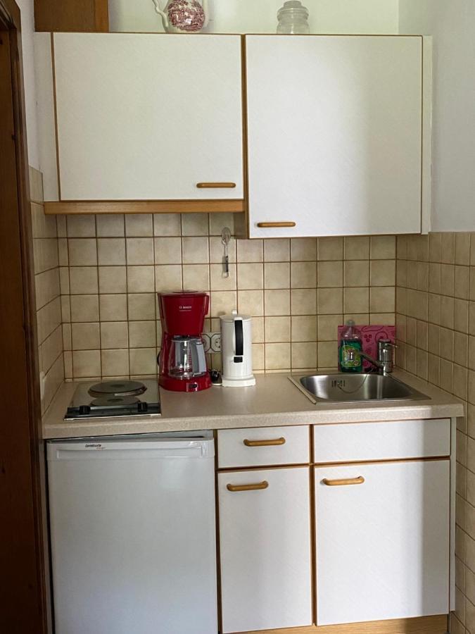 Appartement Haus Aichmann à Schladming Extérieur photo